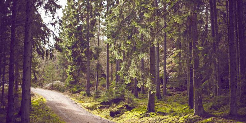 E-commerce86:融合网页设计、社交媒体与在线营销的电商增长新范式