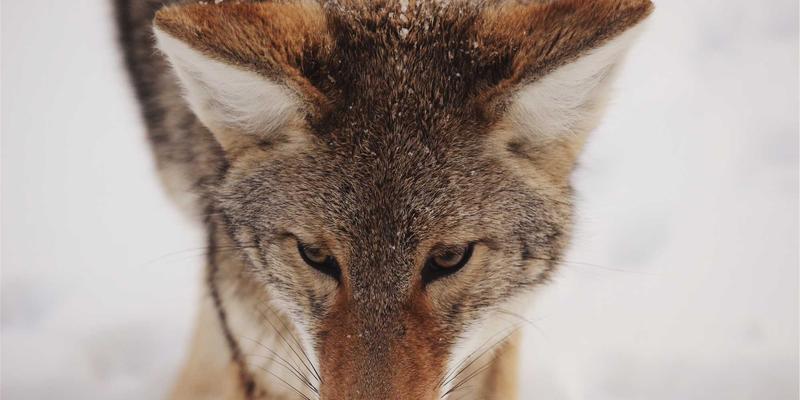 e-commerce23：融合社交媒体与SEO的下一代电商增长策略