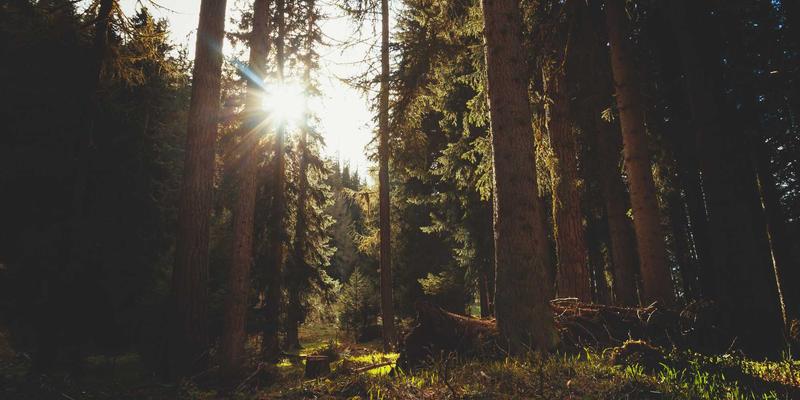 e-commerce36时代:融合SEO与数字营销,以LXDAH框架驱动可持续增长