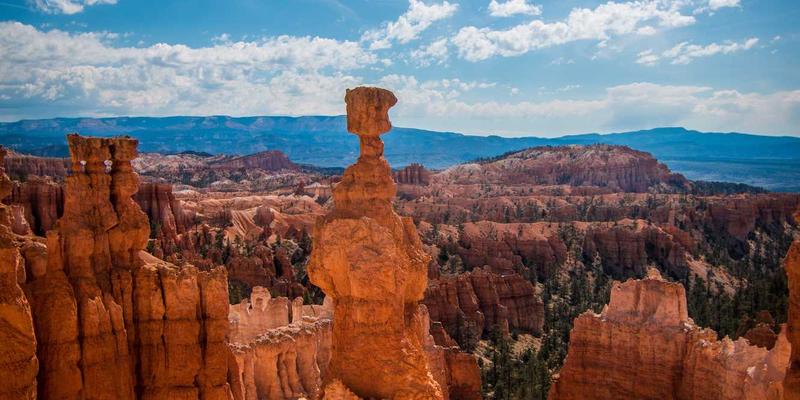 e-commerce97时代：融合SEO与数字营销，以LXDAH策略驱动增长