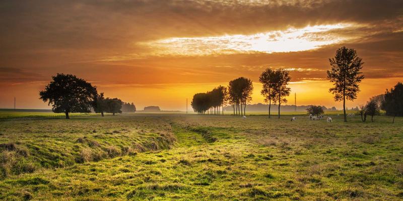 从Web Design到LTV提升：DTC品牌客户忠诚度计划的SEO驱动设计策略