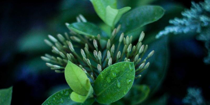 电商A/B测试实战指南：从Web Design到结账流程的SEO与转化率双优化