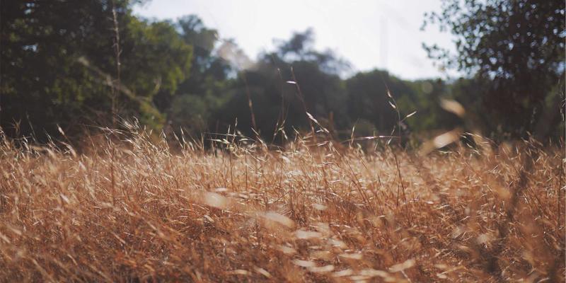 电商平台如何构建有效的UGC社区：融合Online Marketing与SEO策略的实战指南