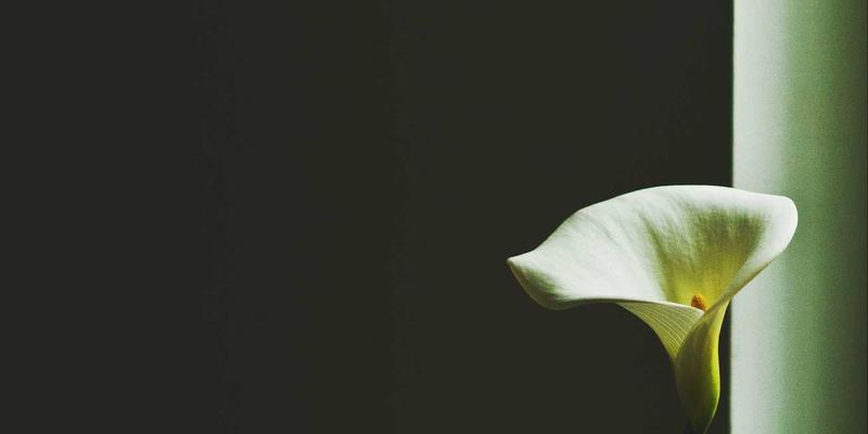 电商成功三要素：整合在线营销、网站设计与社交媒体策略