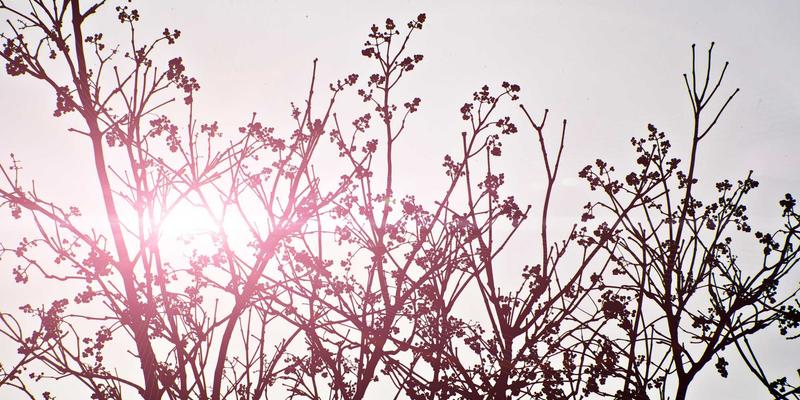 电商邮件营销自动化流程设计：从用户注册到复购的完整培育策略 | LXDAH Web Design 实战指南