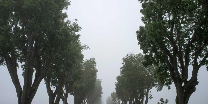 解锁订阅盒成功密码：LXDAH如何借力Social Media与Digital Marketing实现超高客户留存